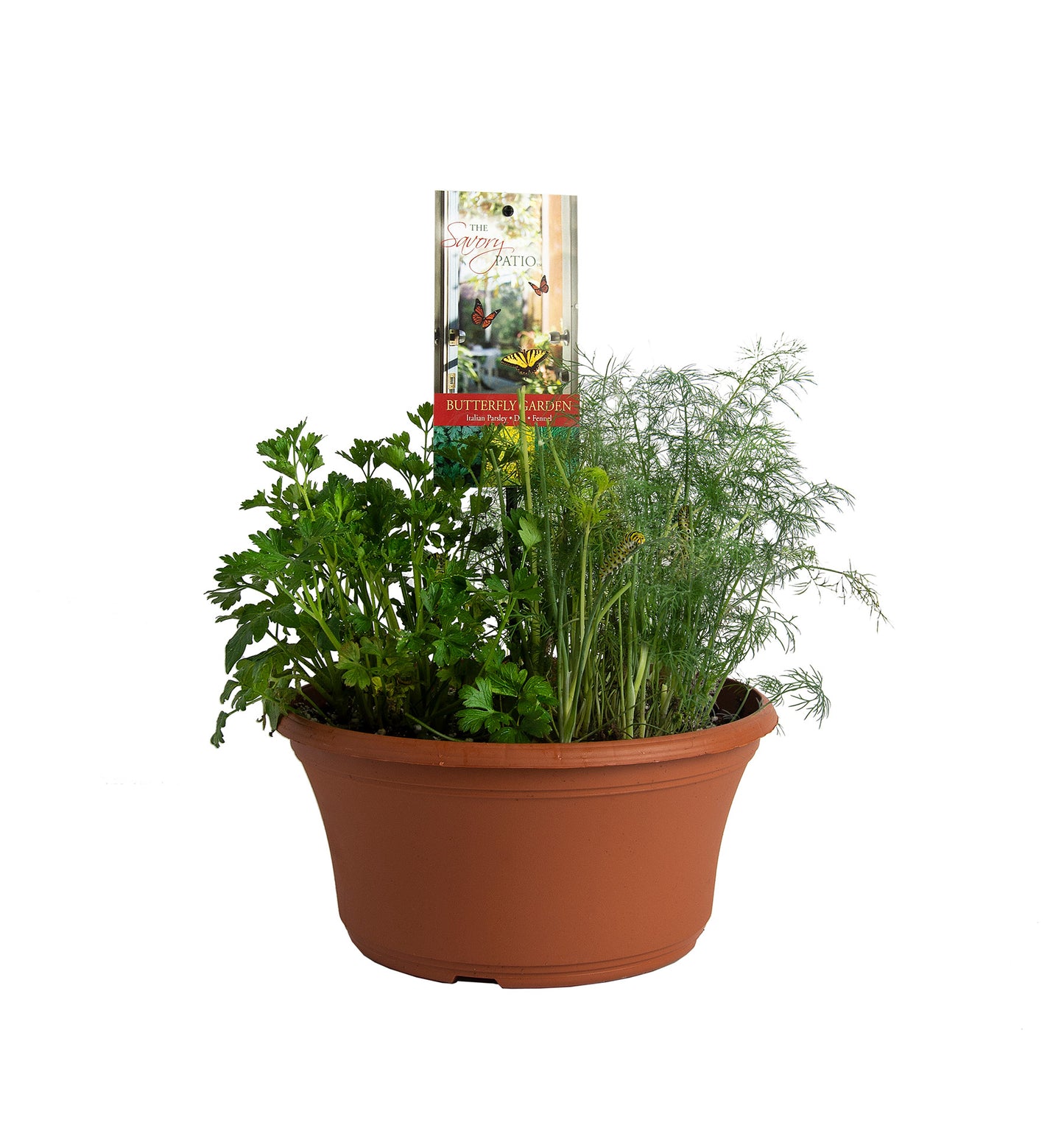 Herbs Basket/ Garden
