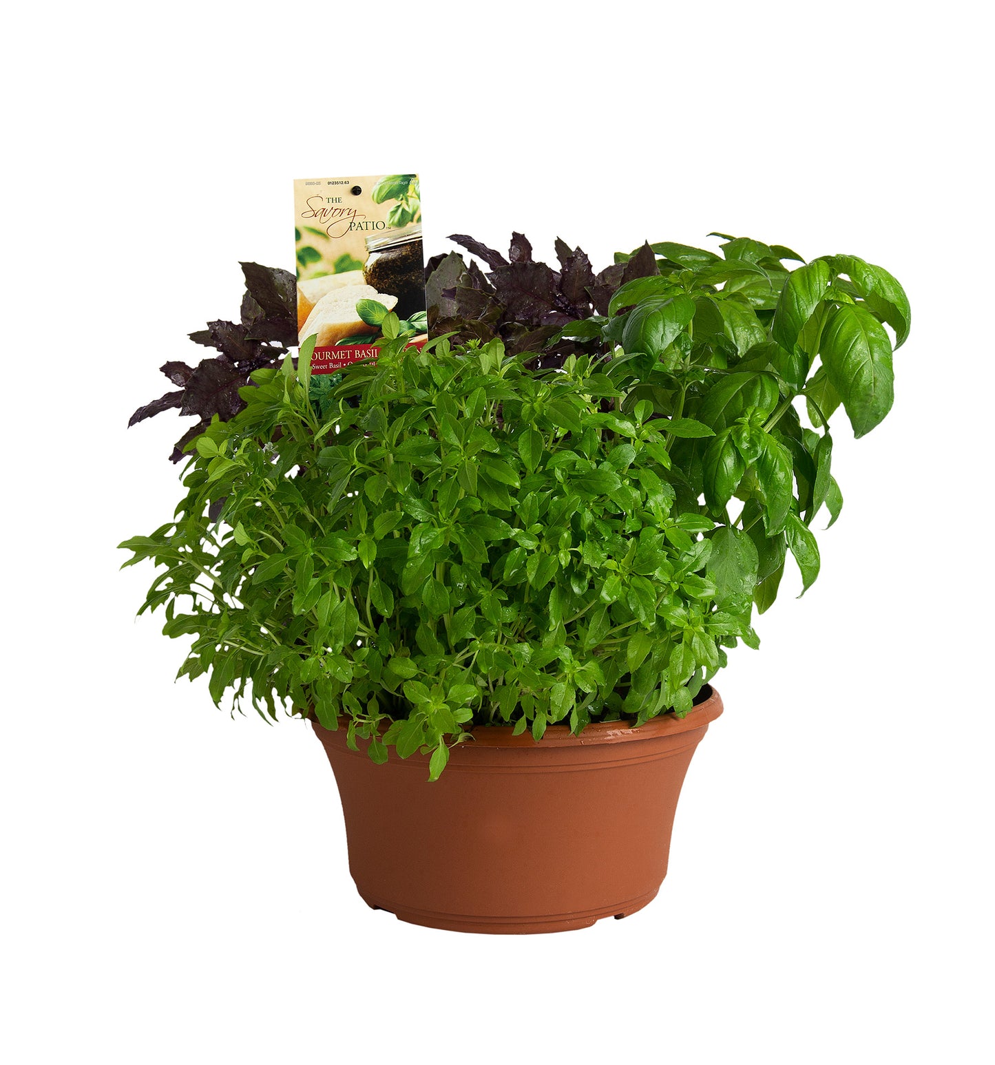 Herbs Basket/ Garden