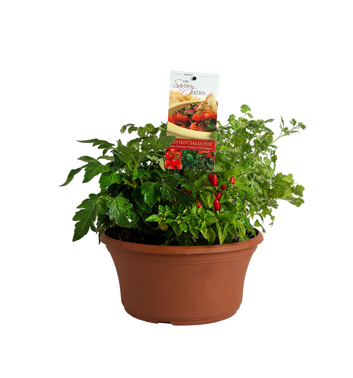 Herbs Basket/ Garden